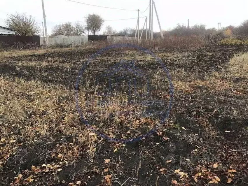 Участок в Белгородская область, Белгородский район, Никольское с/пос, ... - Фото 1