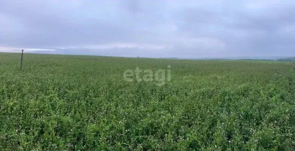 Участок в Удмуртия, Завьяловский район, д. Старое Мартьяново ул. ... - Фото 1