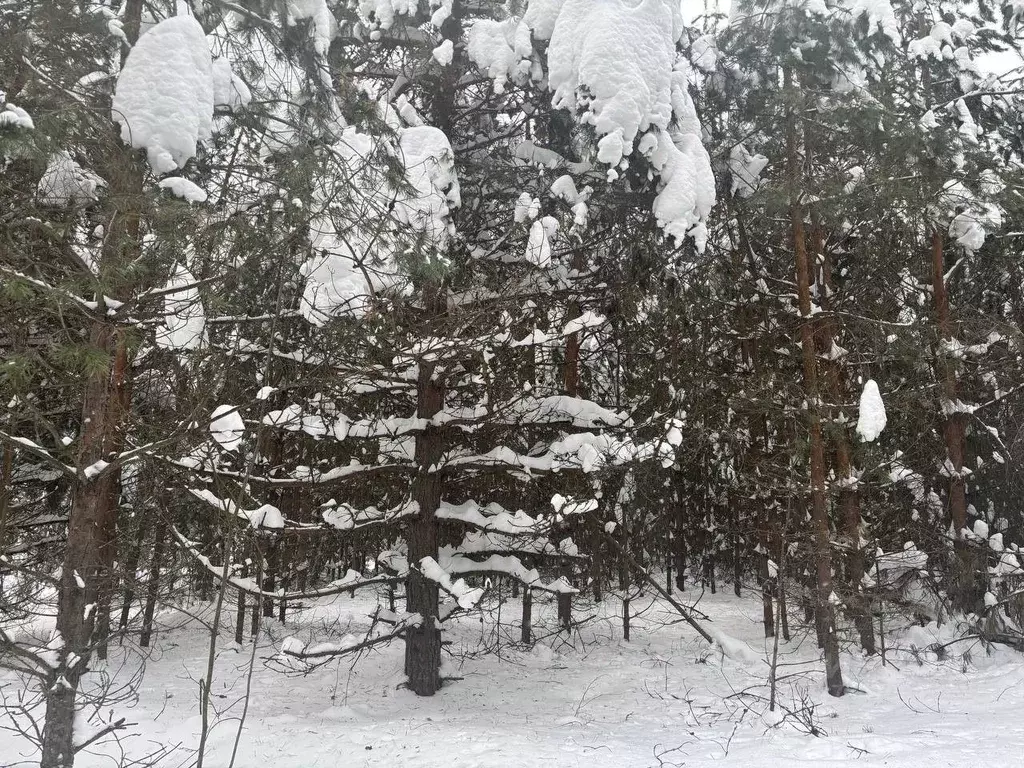 Участок в Московская область, Павлово-Посадский городской округ, д. ... - Фото 1