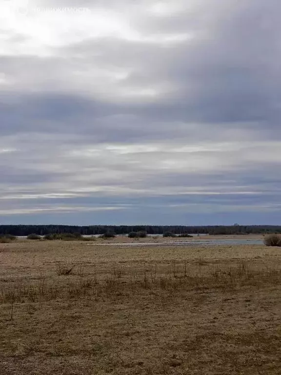 Участок в Ярославская область, Рыбинский муниципальный округ, деревня ... - Фото 2