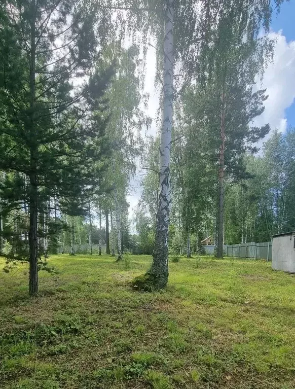 Участок в Свердловская область, Верхнее Дуброво пгт ул. Тенистая (15.0 ... - Фото 0