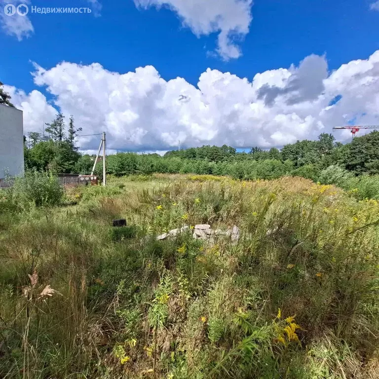 Участок в Гурьевск, Тверская улица (9.77 м) - Фото 2