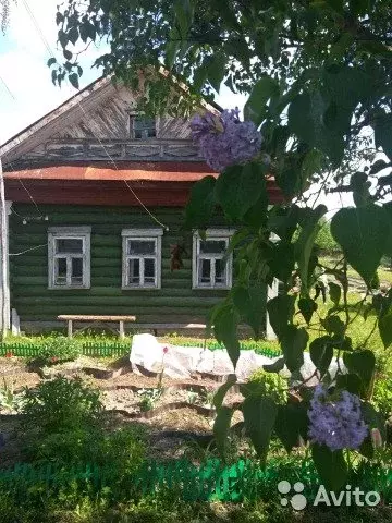 Деревня коркино. Коркино Ярославской области. Деревня Коркино д.15 Кострома.