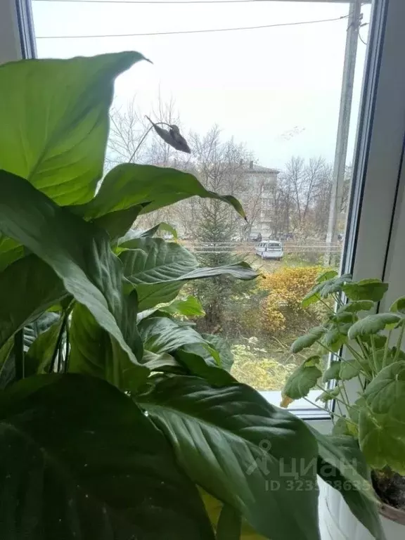 3-к кв. Нижегородская область, Дзержинск бул. Победы, 13А (55.5 м) - Фото 1