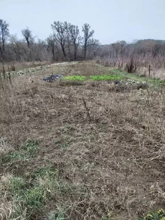 Участок в Белгородская область, Яковлевский городской округ, с. Шопино ... - Фото 0