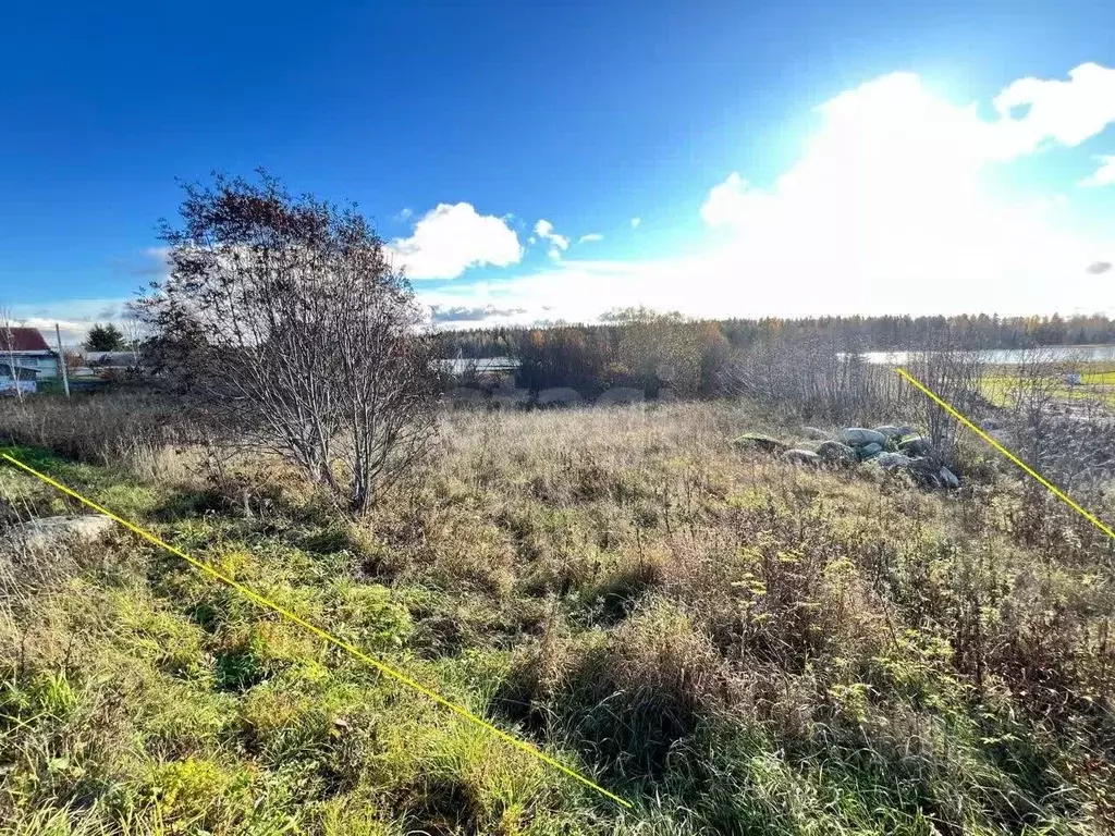 Участок в Вологодская область, Кирилловский муниципальный округ, д. ... - Фото 1