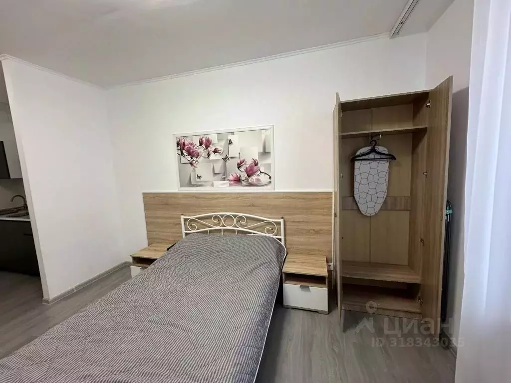 1-к кв. Ленинградская область, Никольское Тосненский район, ... - Фото 1