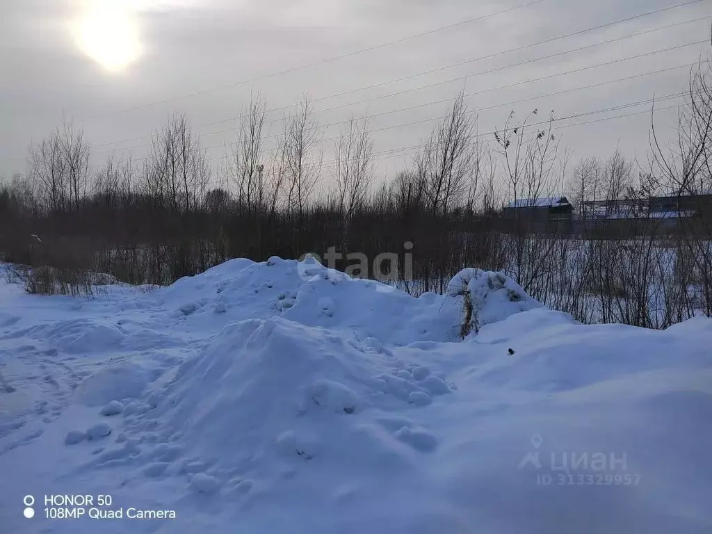 Участок в Новосибирская область, Новосибирский район, Кудряшовский ... - Фото 0