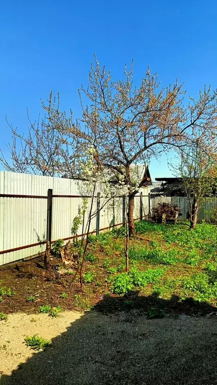 Участок 2,3 сот. (ИЖС) - Фото 1