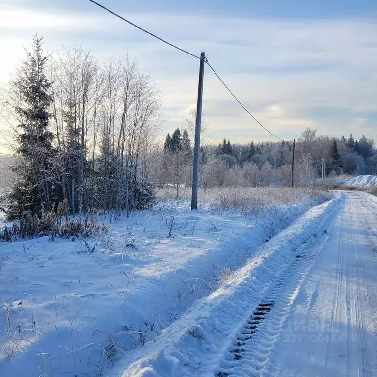 Участок в Московская область, Дмитровский муниципальный округ, Икша ... - Фото 2