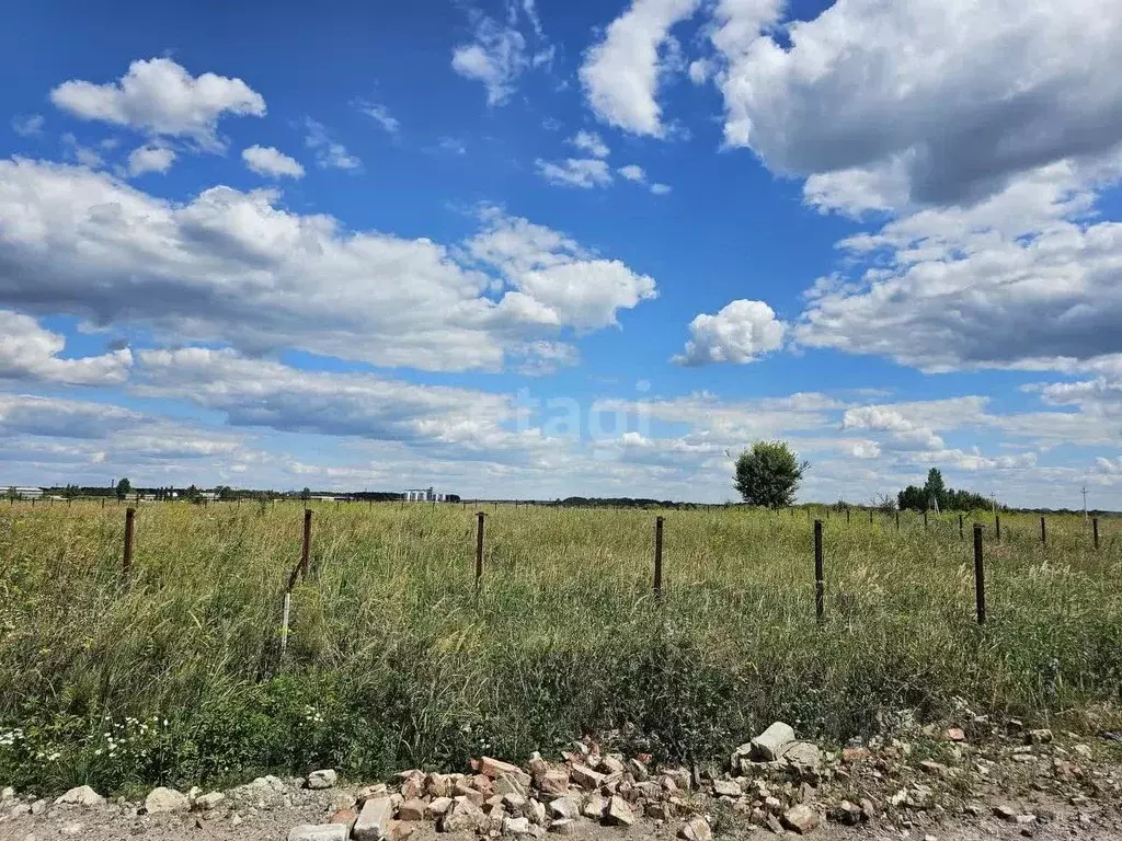 Участок в Тамбовская область, Тамбов городской округ, д. Лужки  (48.8 ... - Фото 0