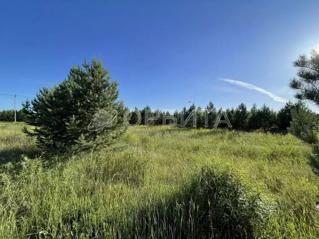 Участок в Свердловская область, Слободо-Туринский район, ... - Фото 1