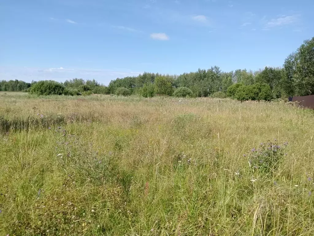 Участок в Московская область, Воскресенск городской округ, д. ... - Фото 0