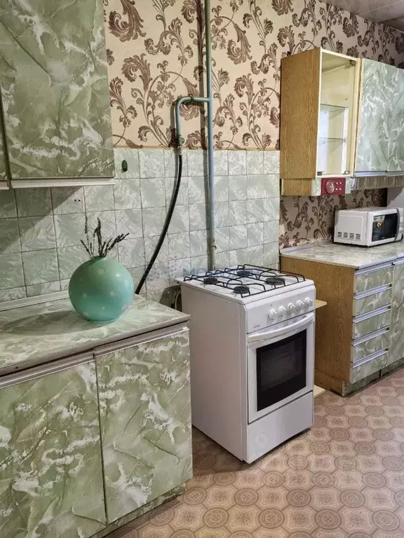 1-к кв. Нижегородская область, Нижний Новгород ул. Евгения ... - Фото 1