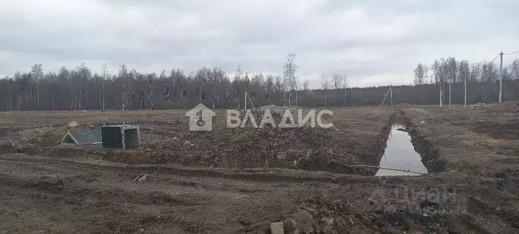 Участок в Ленинградская область, Всеволожский район, Свердловское ... - Фото 1