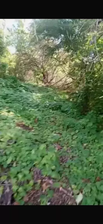 Участок в Краснодарский край, Лабинский район, Упорная ст-ца ... - Фото 2