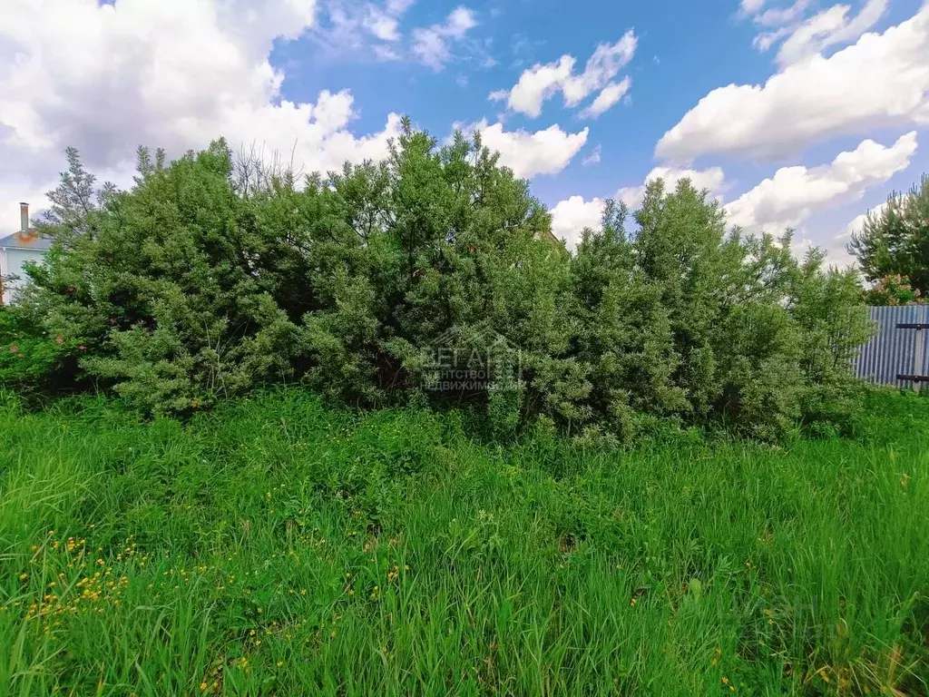 Участок в Москва д. Руднево, ул. Привольная, 5 (6.0 сот.) - Фото 1