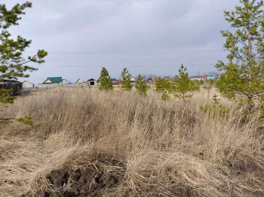 Участок в Курганская область, Кетовский муниципальный округ, ... - Фото 2