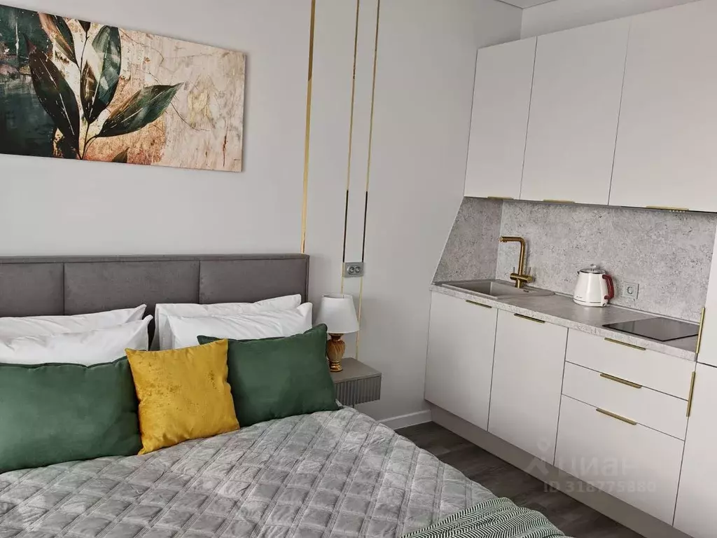 Студия Санкт-Петербург Уральская ул., 25 (24.0 м) - Фото 1