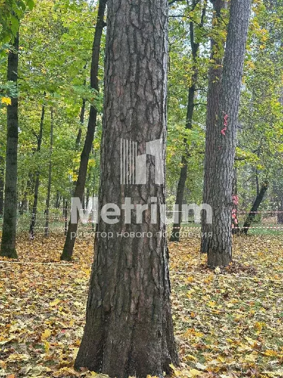 Продается участок в г. Электроугли - Фото 1