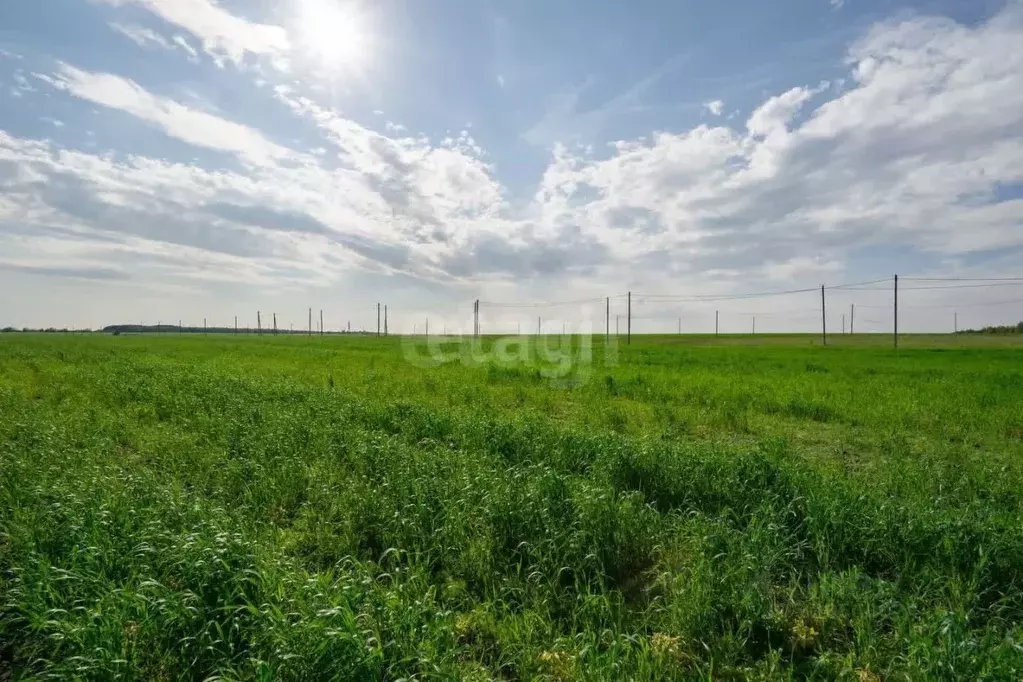 Участок в Татарстан, Тукаевский район, с. Калмия  (8.0 сот.) - Фото 1