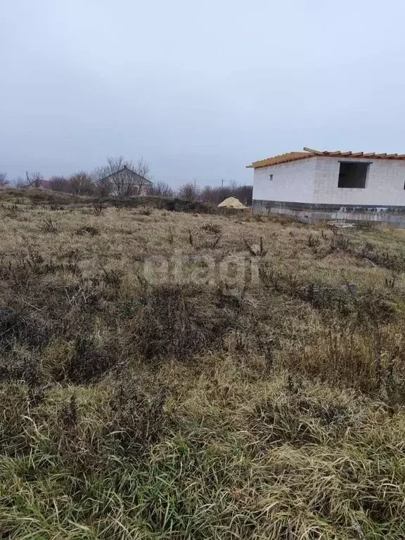 Участок в Белгородская область, Алексеевский муниципальный округ, с. ... - Фото 0