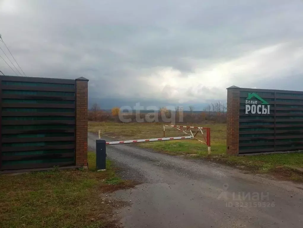 Участок в Воронежская область, Рамонский район, Новоживотинновское ... - Фото 1