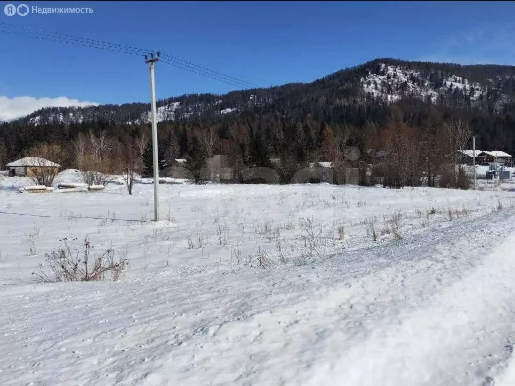 Участок в Усть-Коксинский район, Усть-Коксинское сельское поселение, ... - Фото 1