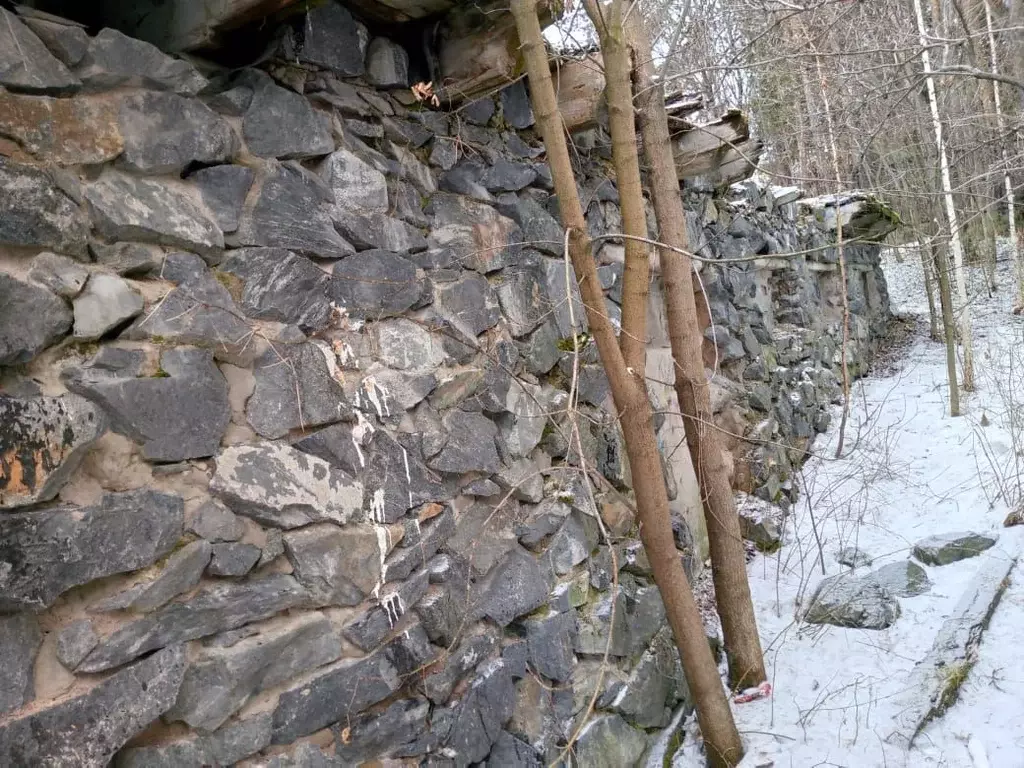 Помещение свободного назначения в Красноярский край, Железногорск ... - Фото 1