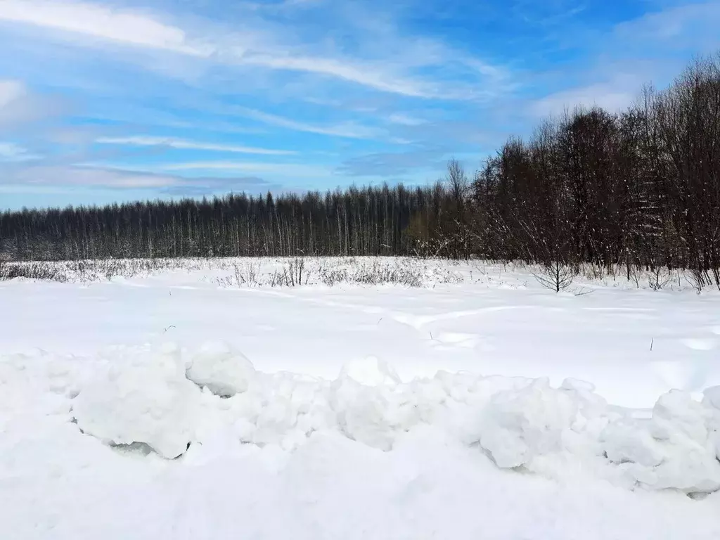 Участок в Московская область, Раменский муниципальный округ, Оттепель ... - Фото 2