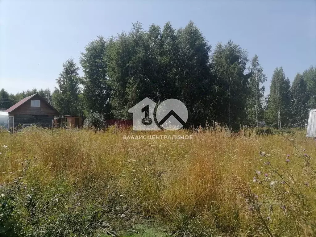 Участок в Новосибирская область, Новосибирский район, Криводановский ... - Фото 1