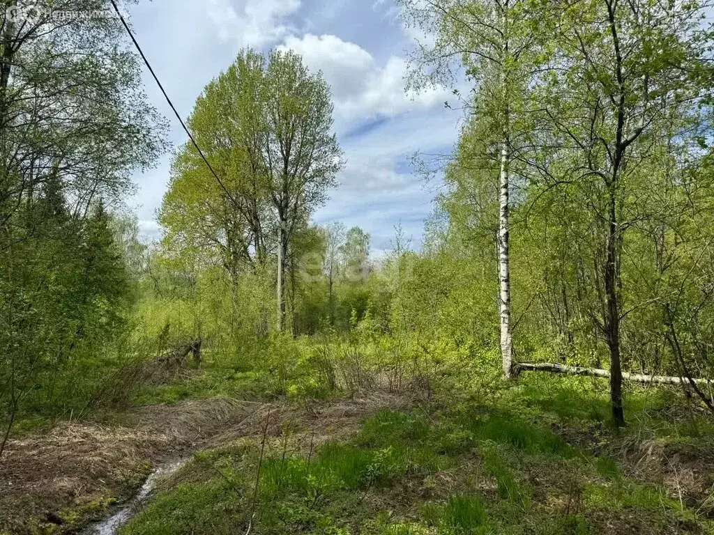 Участок в Московская область, городской округ Клин, деревня Богаиха (9 ... - Фото 1