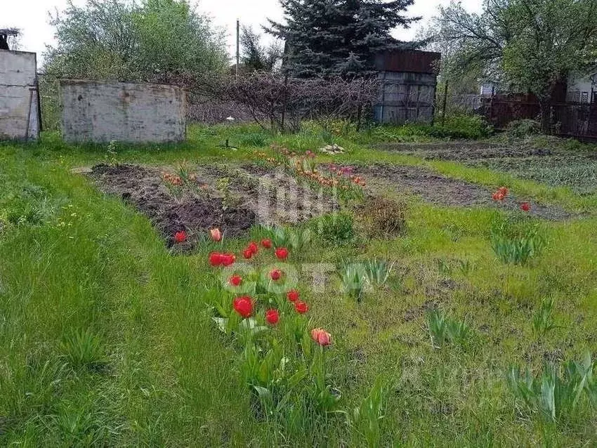 Дом в Воронежская область, Воронеж Радуга СНТ,  (25 м) - Фото 1