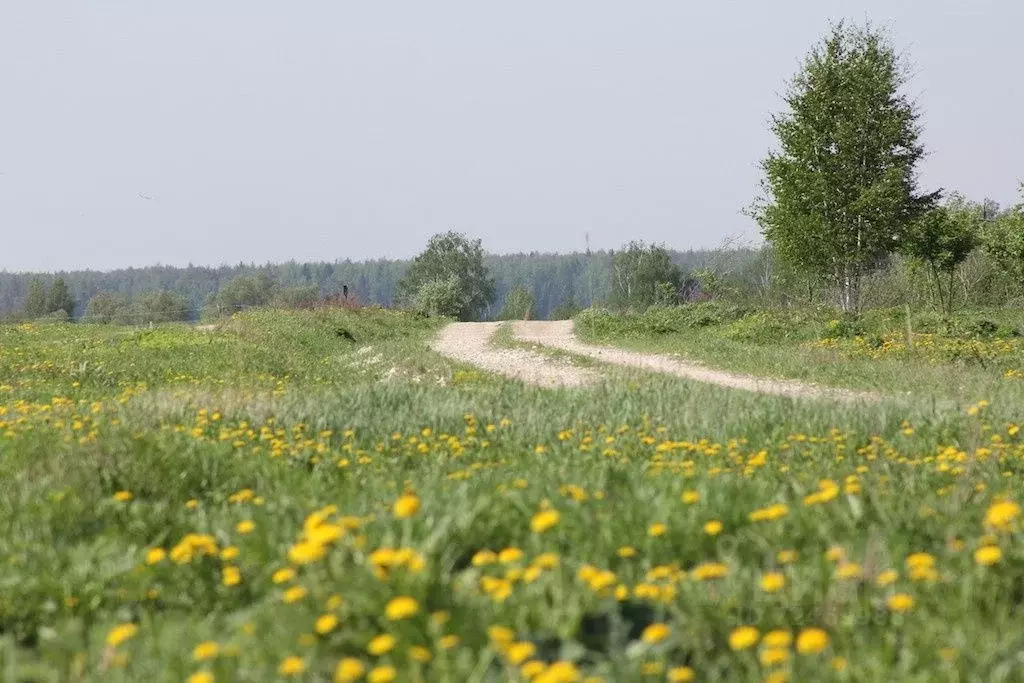 Купить Участок Во Владимирской Области