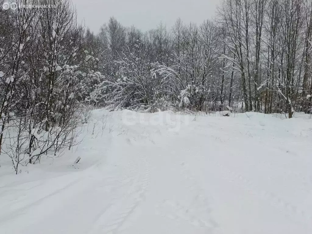 Участок в городской посёлок Будогощь, Советская улица (25 м) - Фото 2