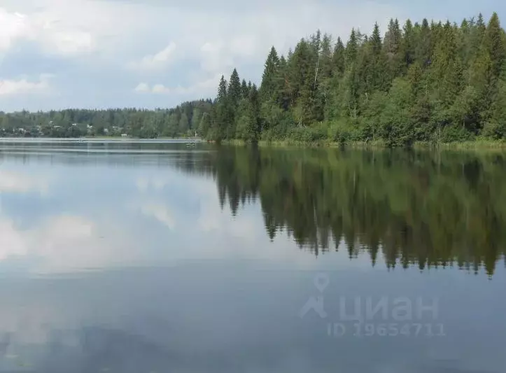 Дом в Новгородская область, Валдайский район, Костковское с/пос, Нерцы ... - Фото 1