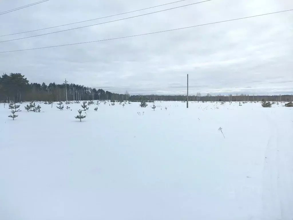 Участок в Московская область, Ногинск Богородский городской округ, ул. ... - Фото 0