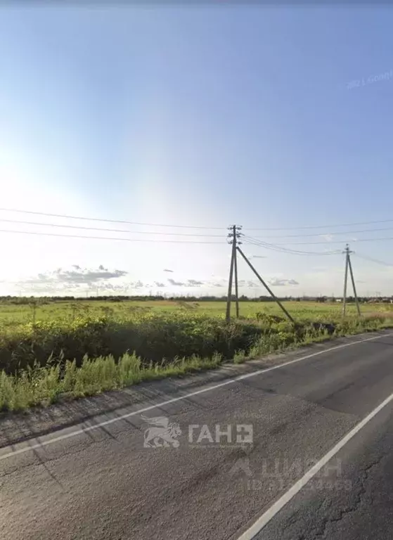 Участок в Ленинградская область, Тосненский район, Тельмановское ... - Фото 1