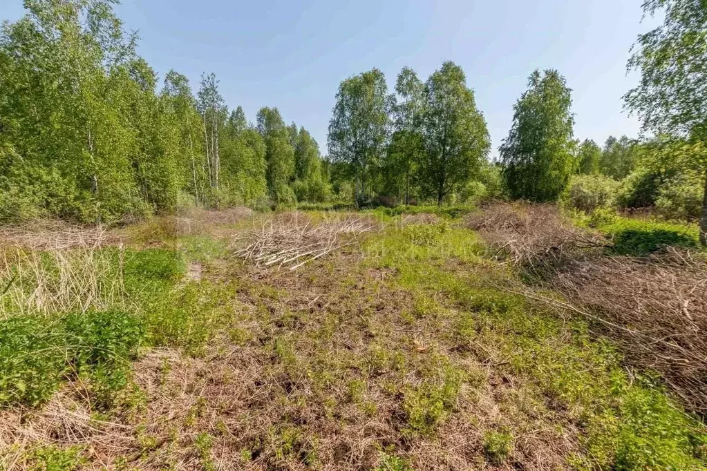 Участок в Тюменская область, Нижнетавдинский район, Фортуна СТ  (20.0 ... - Фото 0