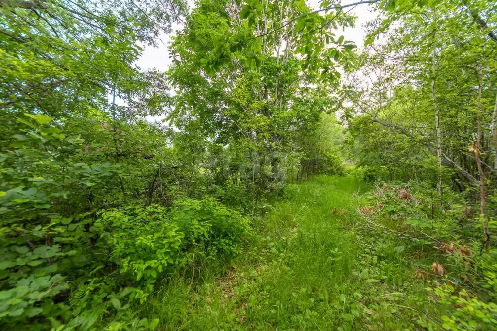 Дом в Еврейская автономная область, Смидовичский муниципальный район, ... - Фото 1