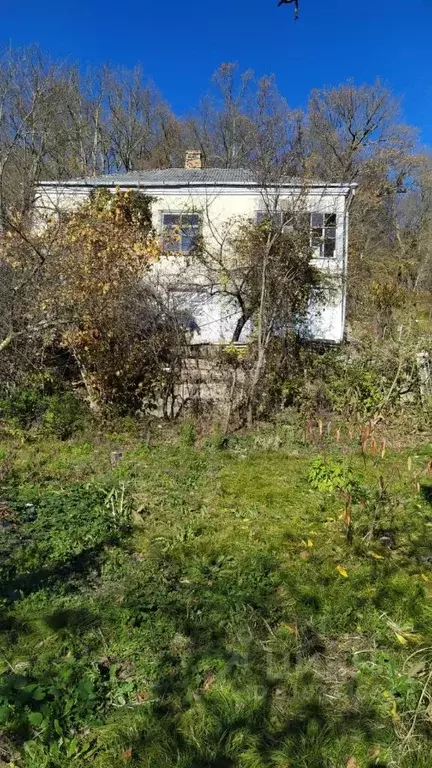 Участок в Краснодарский край, Геленджик городской округ, с. ... - Фото 0