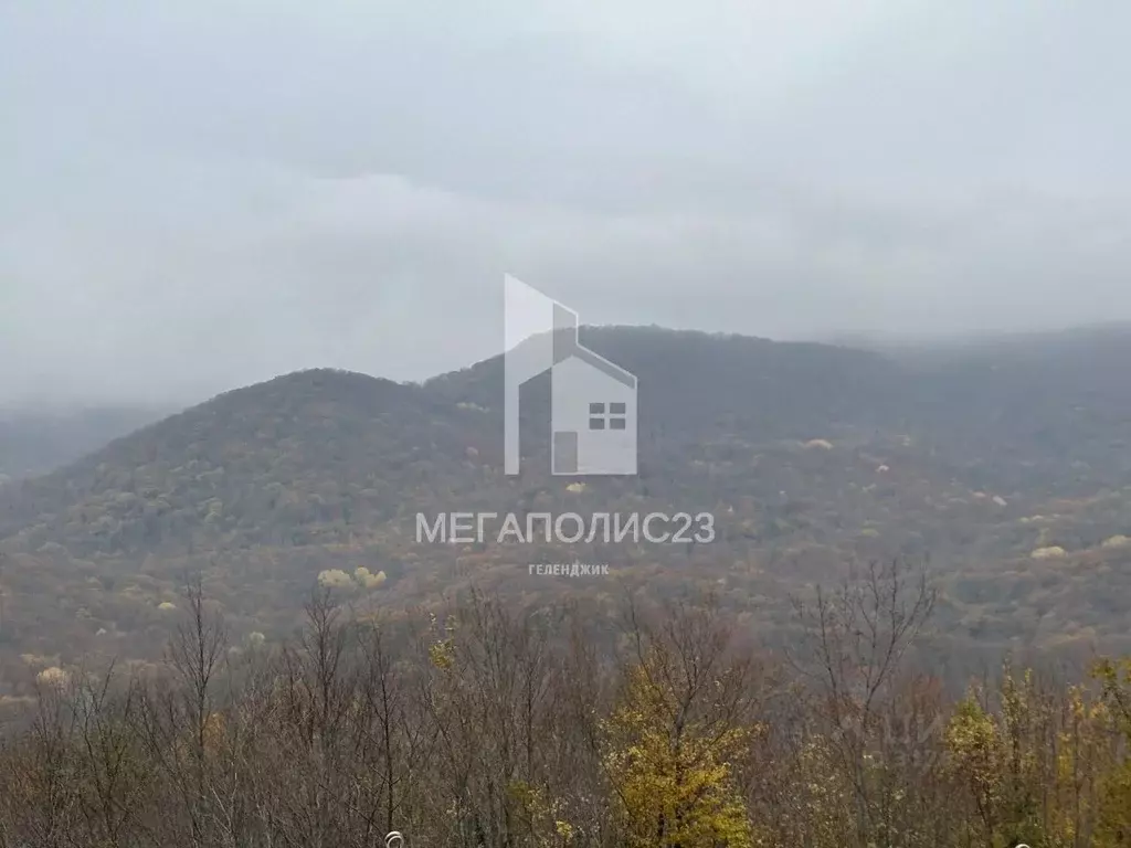 Участок в Краснодарский край, Геленджик муниципальное образование, с. ... - Фото 0