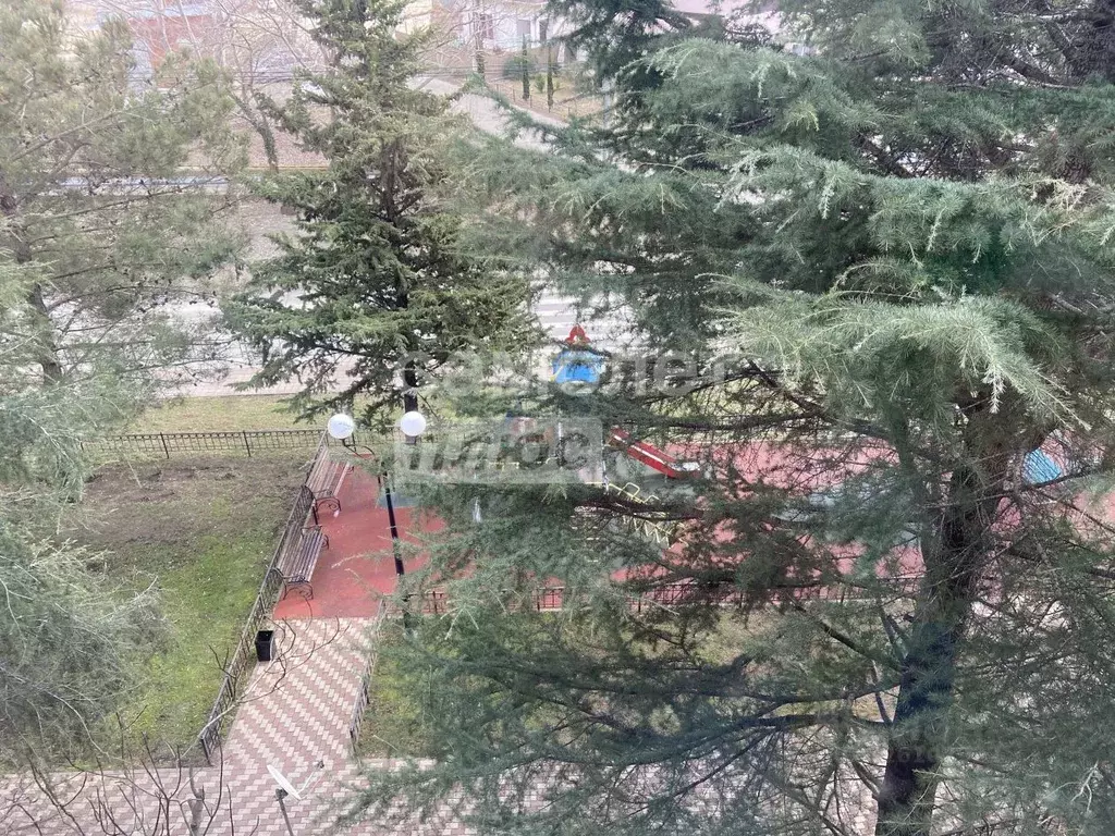 3-к кв. Краснодарский край, Туапсинский муниципальный округ, с. Агой ... - Фото 2