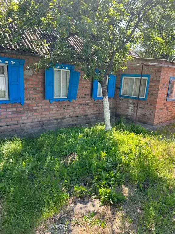 Дом 36 м на участке 4 сот. - Фото 0