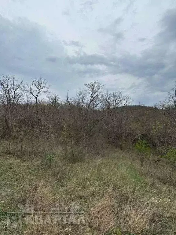 Участок в Краснодарский край, Сочи городской округ, с. Васильевка  ... - Фото 1