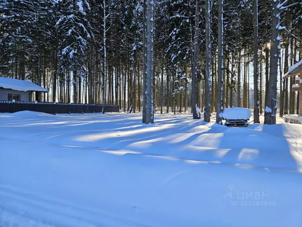 Участок в Московская область, Химки Старбеево кв-л, ул. Чайкиной (9.0 ... - Фото 2