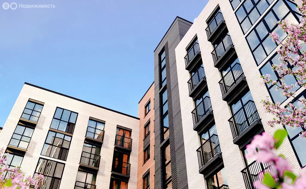 Квартира-студия: Новосибирск, ЖК Расцветай на Красном (26.8 м) - Фото 2