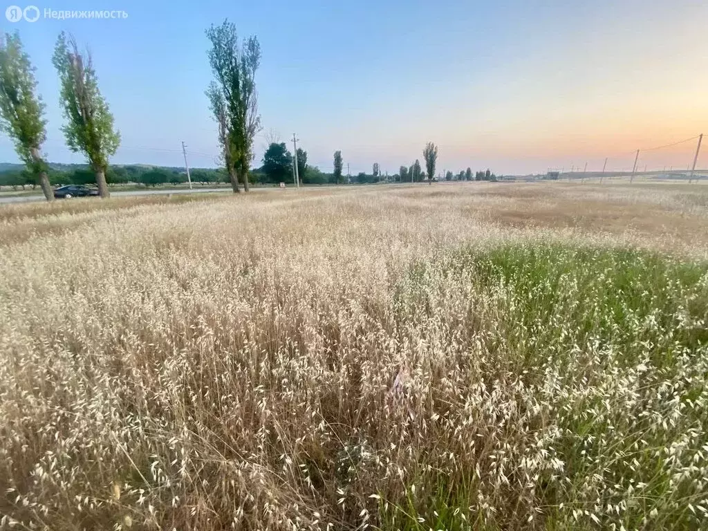 Участок в Севастополь, Нахимовский район, Качинский муниципальный ... - Фото 0