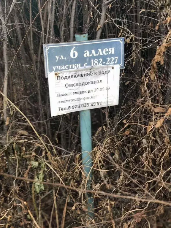 Дом в Омская область, Омск СОСН Тепличный-2 тер.,  (35 м) - Фото 2