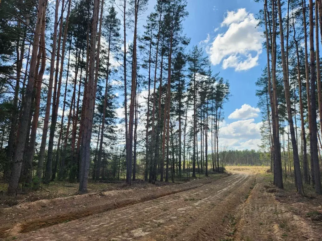 Участок в Владимирская область, Киржачский район, с. Филипповское ул. ... - Фото 0